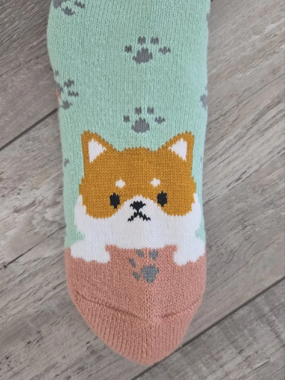 Mint Green & Shiba Inu Pattern Socks Japanese